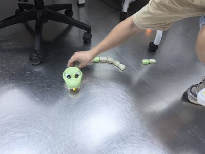 企业如何办理遥控贪吃蛇玩具CCC认证