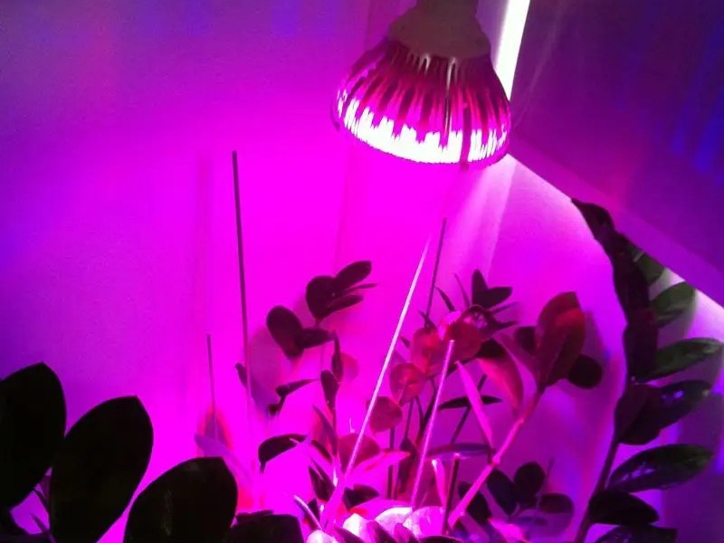 LED植物灯防爆合格证办理流程？